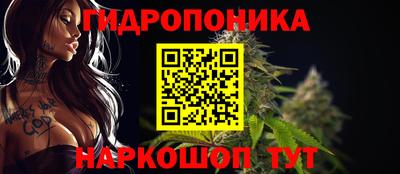 гашик Донской