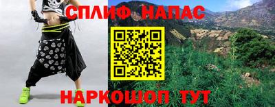 гашик Донской