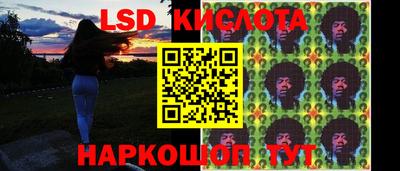 гашик Донской