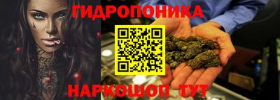 гашик Донской