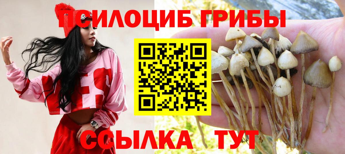 Галлюциногенные грибы MAGIC MUSHROOMS  Вход с VPN  Москва  Псилоцибиновые грибы Cubensis 