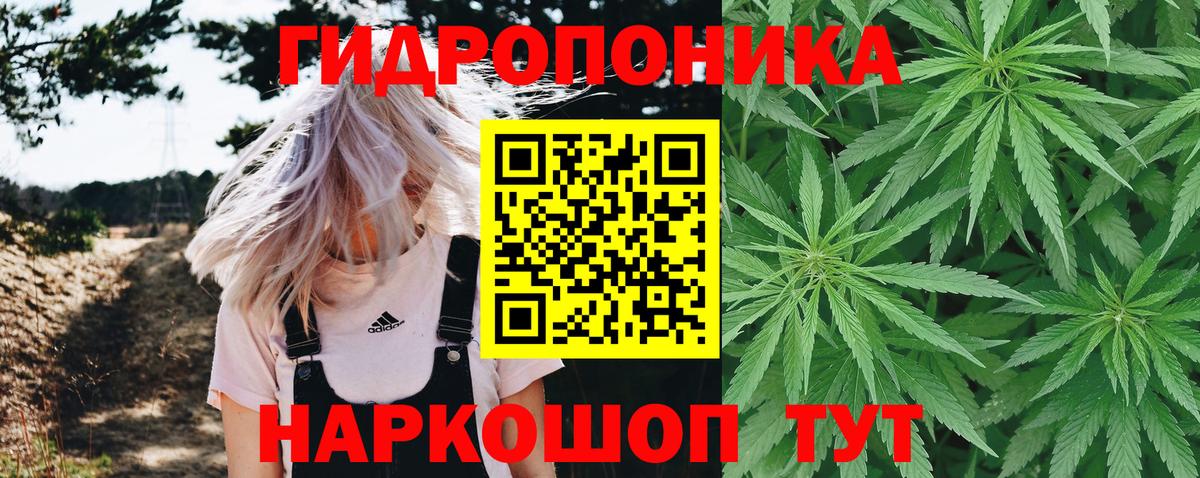 Конопля White Widow  Каннабис ГИДРОПОН  Шишки марихуана Ganja  Вход с VPN  Москва 